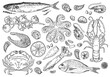 Seafood big set. Ink sketch isolated on white background. Hand drawn vector illustration. Retro style.