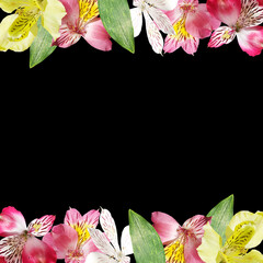 Fotomurales - Beautiful floral frame of alstroemeria. Isolated