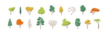 Collection Of Deciduous And Evergreen Forest Plants Isolated On White Background. Botanical Collection Of Bare Trees And Ones With Leaves And Lush Crowns. Flat Vector Illustration On White Background
