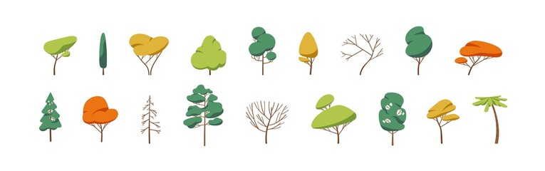 Poster - Collection of deciduous and evergreen forest plants isolated on white background. Botanical collection of bare trees and ones with leaves and lush crowns. Flat vector illustration on white background
