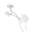 Hand and Flower Continuous One Line Drawing. Woman Hand Line Art Style. Black White Modern Artwork. Minimalist Design. Vector EPS 10