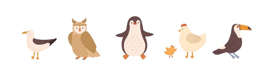 Poster - Set of front and side views of cute birds. Gull, owl, penguin, chicken, hen and toucan isolated on white background. Colored flat vector illustration