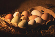 Eggs from organic farming collected in a pack