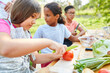 © Robert Kneschke - Children at the summer camp cooking class prepare salad