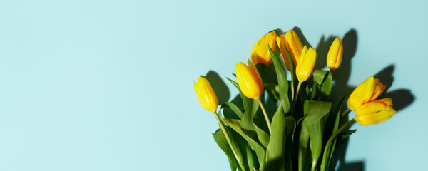 Wall Mural - Yellow tulip flowers bouquet with hard shadow on blue background. Flat lay, copy space. Banner for seasonal holiday, springtime concept, International Woman day, 8 march, Happy Easter greeting card