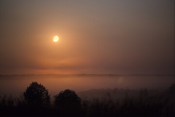 Wall Mural - the moon shines in the fog at night. natural background.