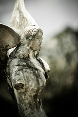  Sculpture of angels in the cemetery