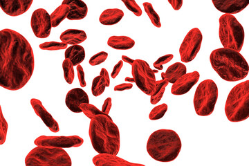 Wall Mural - Blood cells on white background