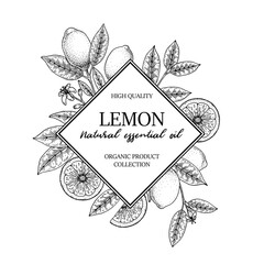 Wall Mural - Hand drawn vintage lemon square frame. Vector illustration in sketch style isolated on white. Print, package, card design.