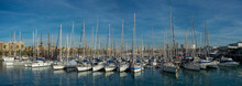 Sailboats Moored In Harbor