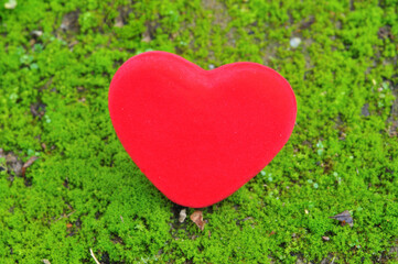 a red heart, symbol of love and passion. theme: Valentine’s Day, love, anniversaries and ceremonies.