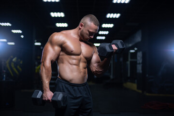 Wall Mural - Young adult bodybuilder doing weight lifting in gym.