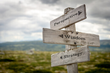 perspective wisdom strategy engraved text on wooden signpost outdoors in nature