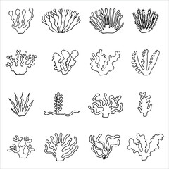 Canvas Print - seaweed sketches set. vector icons