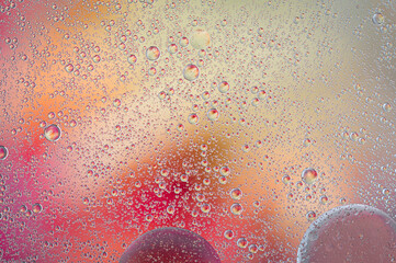 Wall Mural - Abstract oil bubbles coloured background