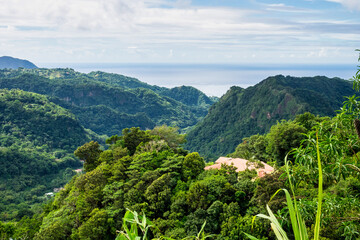 Landscape view on trail to the Trafalgar waterfalls. Morne Trois Pitons National Park, Dominica, Leeward Islands