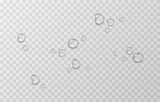 Fototapeta Łazienka - Vector water drops. PNG drops, condensation on the window, on the surface. Realistic drops on an isolated transparent background.