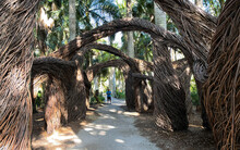 Artistic abstract arches made out of twigs in a tropical botanical garden