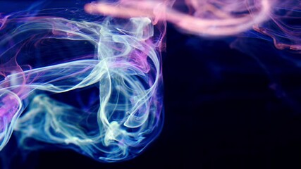 Wall Mural - Ink smoke cloud in water.