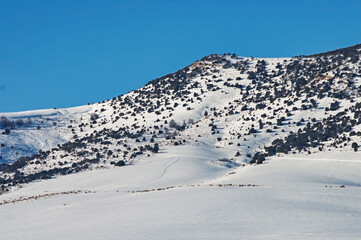 Sticker - Beautiful shot of the snow-covered forest and mountains on a winter day