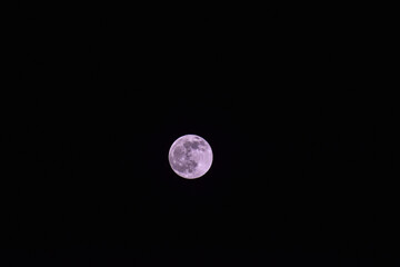 Canvas Print - Full moon on a black background