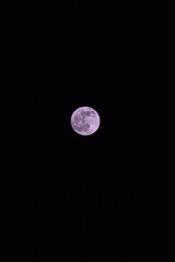 Poster - Vertical shot of full moon isolated on black background - perfect for wallpaper