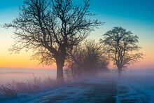 Alee Straße Mit Frost Und Nebel Im Winter