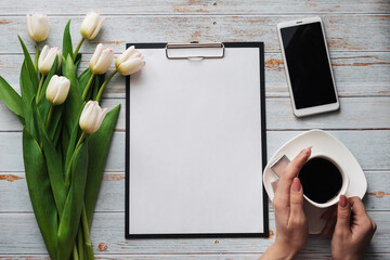 Wall Mural - A white bouquet of tulips on a wooden blue background with a coffee Cup in women's hands, a smartphone and an empty paper tablet
