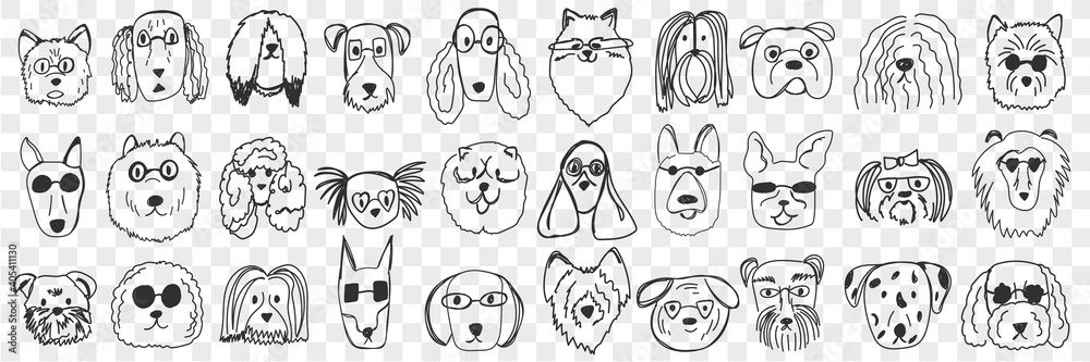 Dogs faces doodle set. Collection of hand drawn funny cute faces of dogs pets of different breeds and fur styles isolated on transparent background. Illustration of dogs breeds for kids - obrazy, fototapety, plakaty 