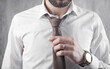 © andranik123 - Businessman fixing his tie. Fashion, Lifestyle