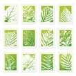 Ecology Postage Stamps Set with Leaf Vein Pattern Set