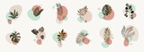 Fototapeta Boho - Vector abstract botanical compositions. Boho story highlites template. Fluid organic shapes, neutral colors. Bohemian exotic leaves. Mid Century Modern foliage design. Twigs illustration