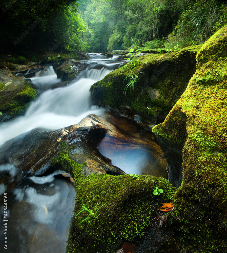 Scenic View Of Waterfall In Forest - obrazy, fototapety, plakaty 