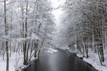 Wall Mural - Wonderful winter scene. Frosty, misty morning on the small river. frost covered trees in the warm glow of sunrise. The beauty of the world. Washington state, USA
River landscape, Christmas time. First