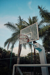 Sticker - Vertical shot of a basketball rack in a court surrounded by tre