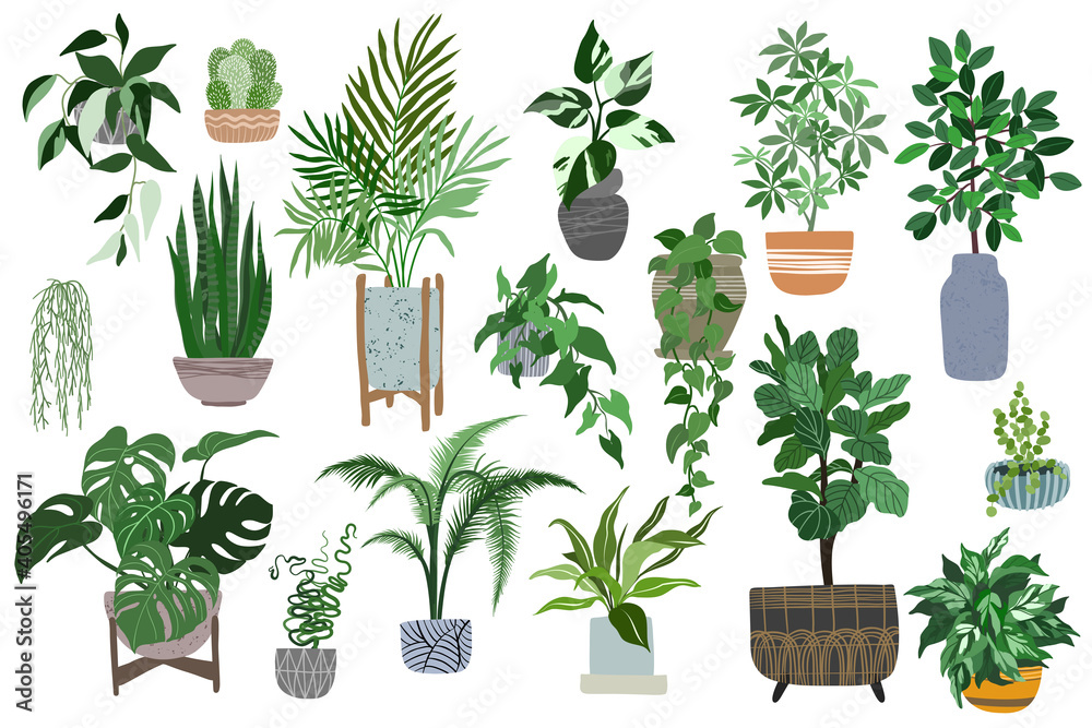 Big set of home plants in pots, scandi style - obrazy, fototapety, plakaty 