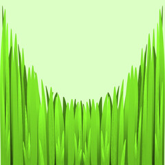 Green Grass Frame Spring 2