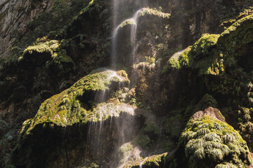 Canvas Print - Cascada árbol de navidad, Cañón de sumidero, Chiapas