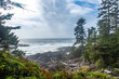 A view of the ocean on a hike around Ucluelet, BC, Canada