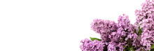 Header With Bouquet Of Lilac Flowers. Romantic Spring Concept With Copy Space.