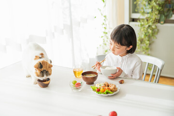 Canvas Print - 朝ごはんを食べる女の子と猫