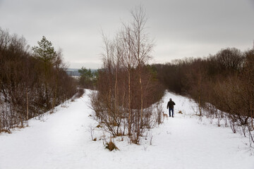 Wall Mural - walking in the countryside in snow in Scotland