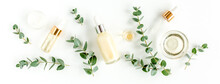 Eucalyptus Essential Oil, Eucalyptus Leaves On White Background. Natural, Organic Cosmetics Products. Medicinal Plant. Natural Serums. Flat Lay, Top View.