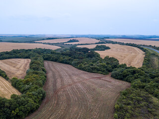 Drone aerial view of beautiful farm field cultivated with soybean in rural area of Paraná state, Brazil, on fog summer day. Concept of agriculture, farming, ecology, food, work, economy, industry.