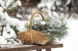 Winter basket with fir branches in a snow forest