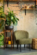 Many house plants in a vintage inspired interior with a concrete wall and green with yellow accents. Warm tones create a cosy eclectic vintage styked home