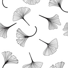 Ginkgo Biloba Seamless Pattern Leaves. Hand Drawing On White Backgrounds. Vector Illustration In A Minimal Linear Style.