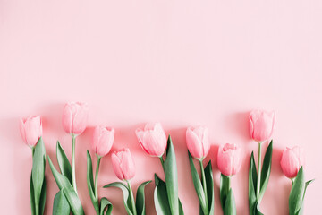 beautiful composition spring flowers. bouquet of pink tulips flowers on pastel pink background. vale