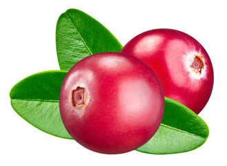 Poster - Cranberry isolated on white background