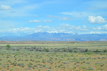 Wall Mural - Great Basin desert and the La Sal Mountains, Moab, UT